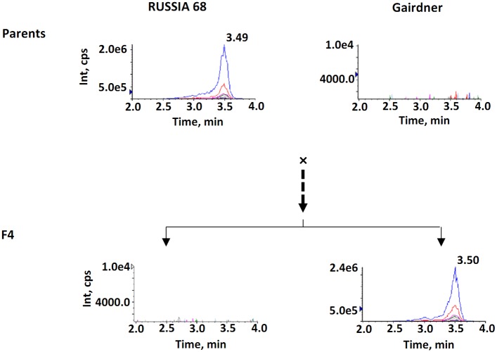 Fig 2