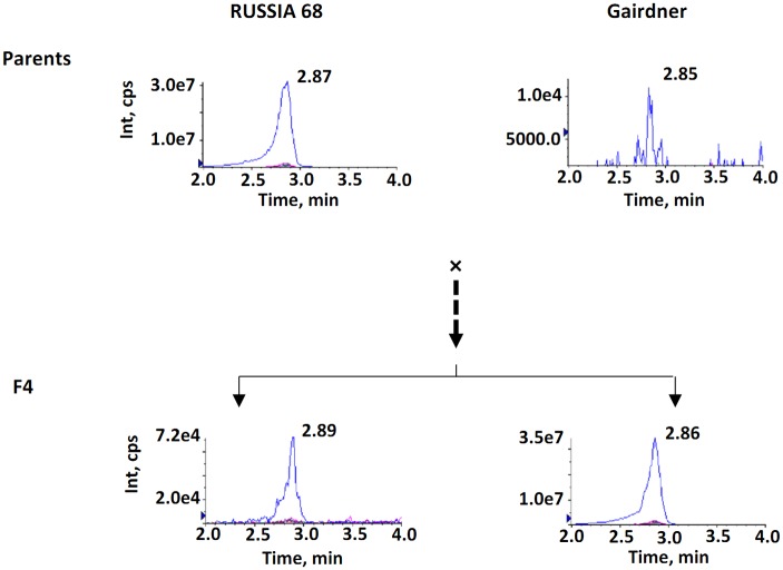 Fig 3