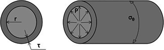 Fig. 5