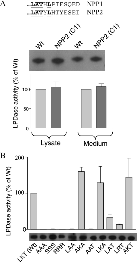 FIGURE 7.