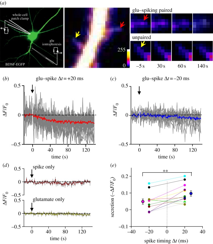 Figure 3.