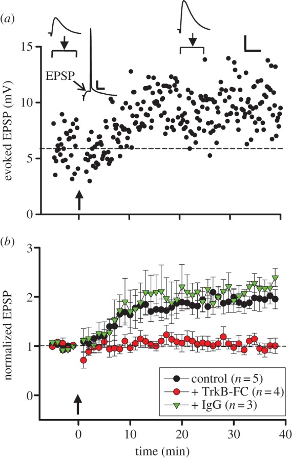 Figure 1.