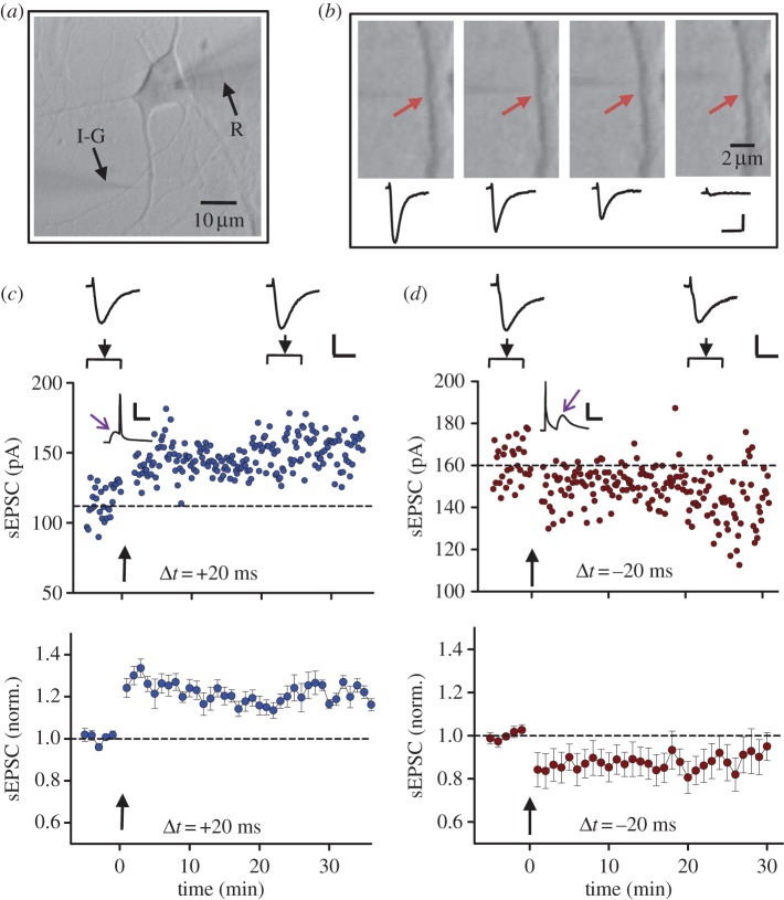 Figure 2.