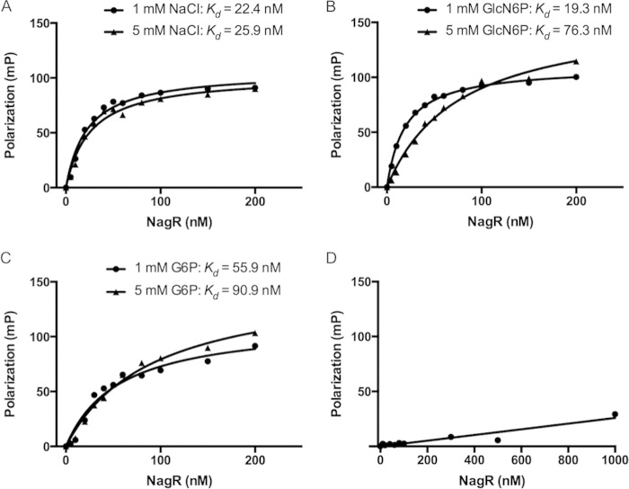 FIG 6