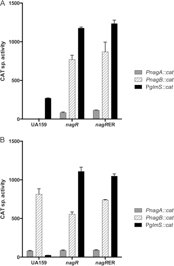 FIG 2