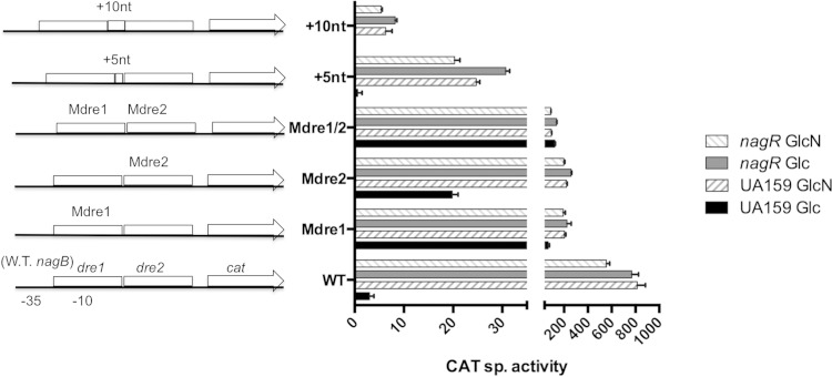 FIG 4