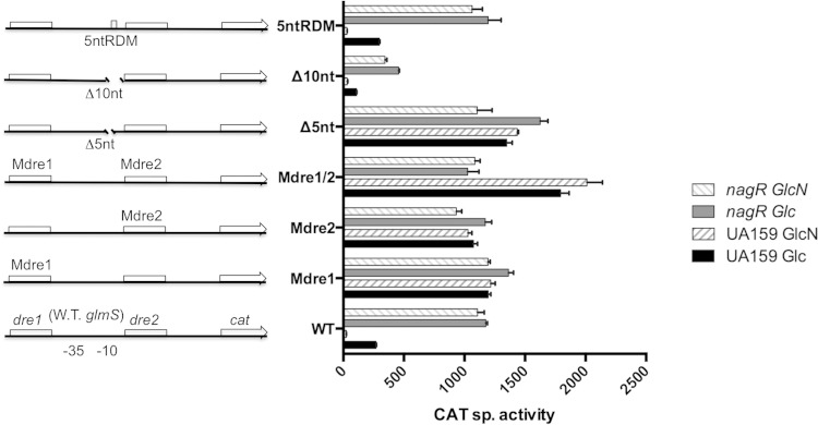 FIG 3