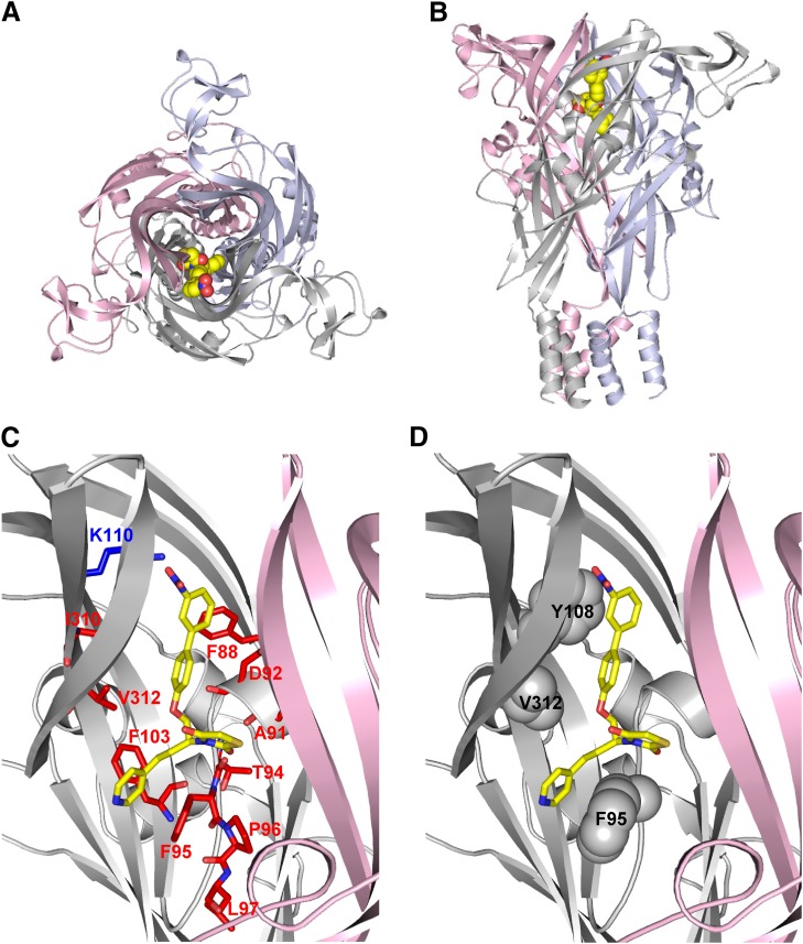 Fig. 3.