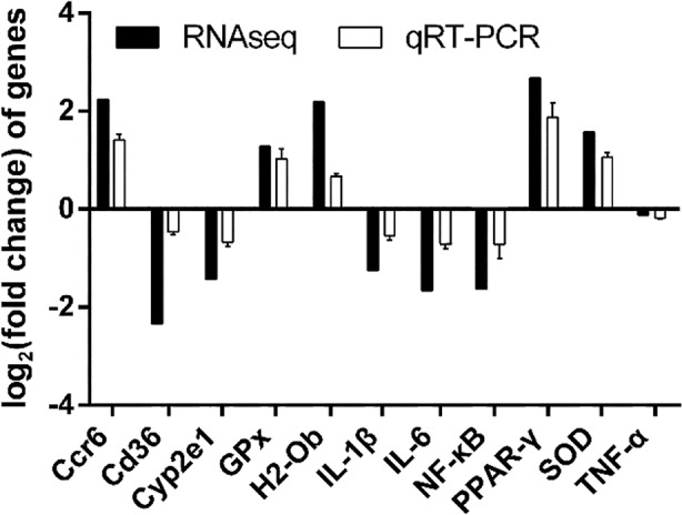 Figure 6