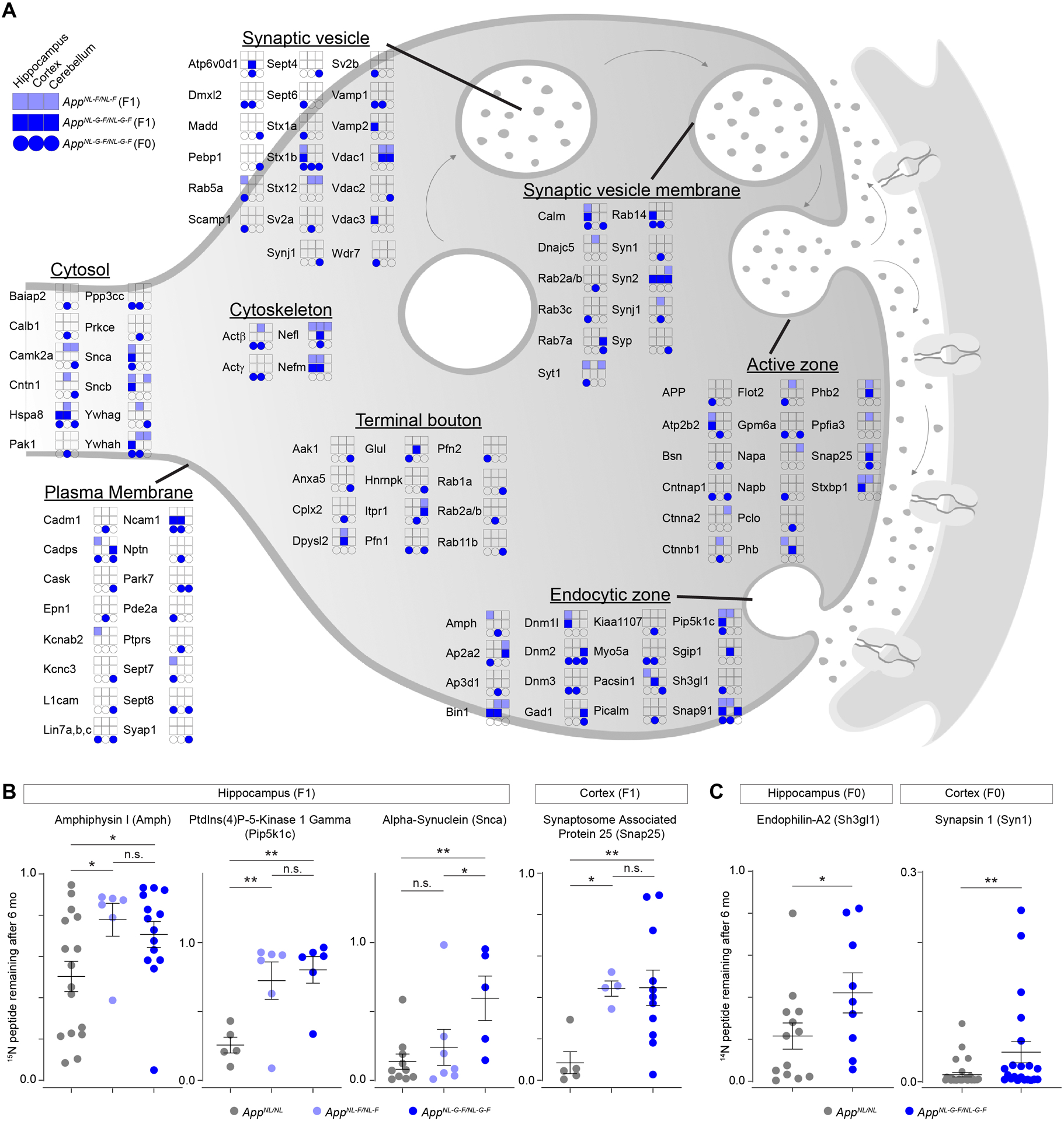 Figure 3: