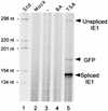 FIG. 7