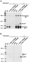 FIG. 6