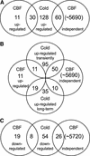 Figure 10.