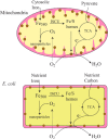 Figure 6.