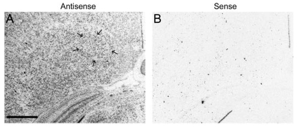 FIG. 8