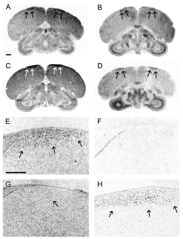 FIG. 6