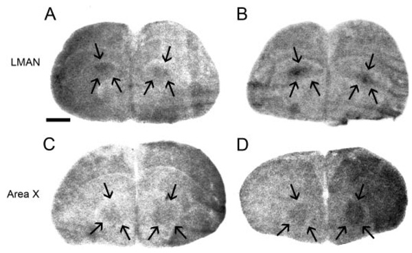 FIG. 7