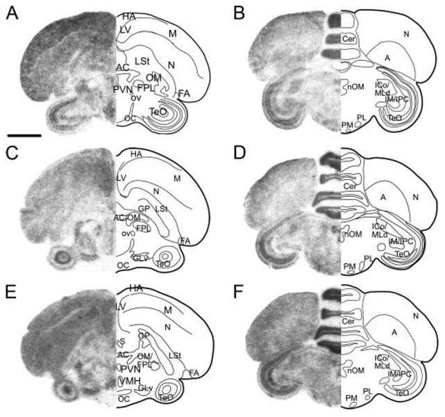 FIG. 9