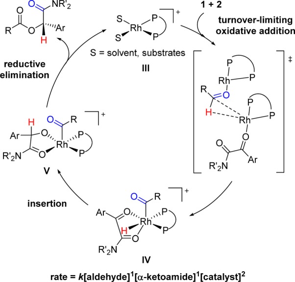 Scheme 5