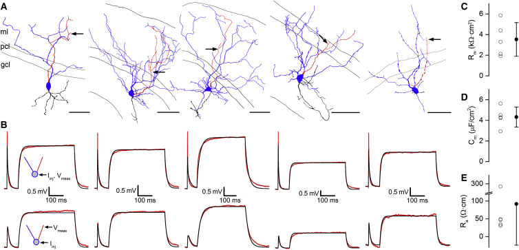 Figure 5