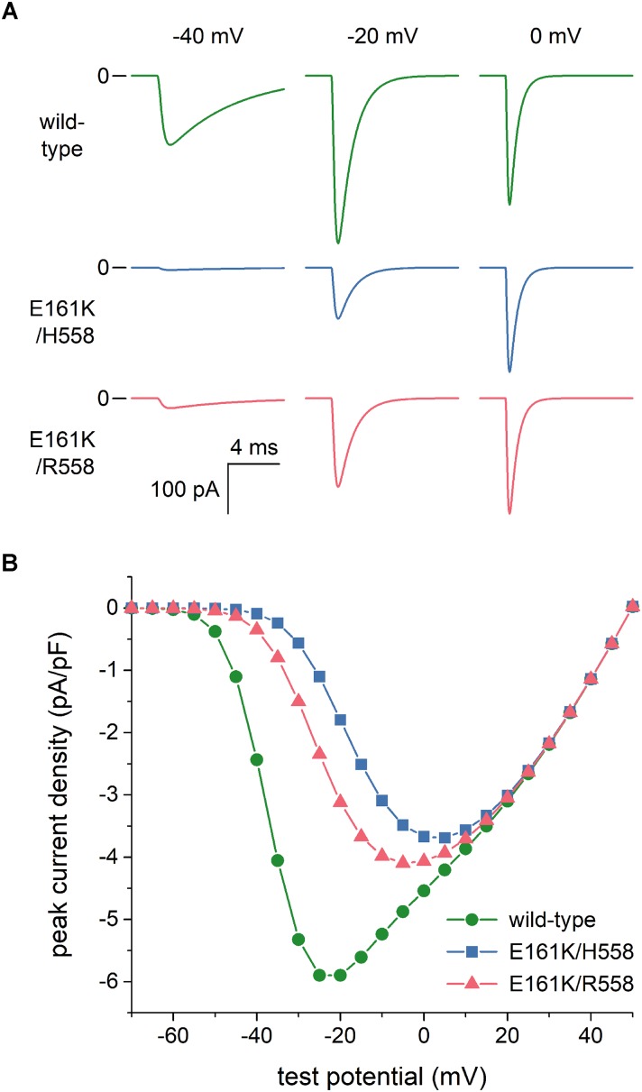 FIGURE 3