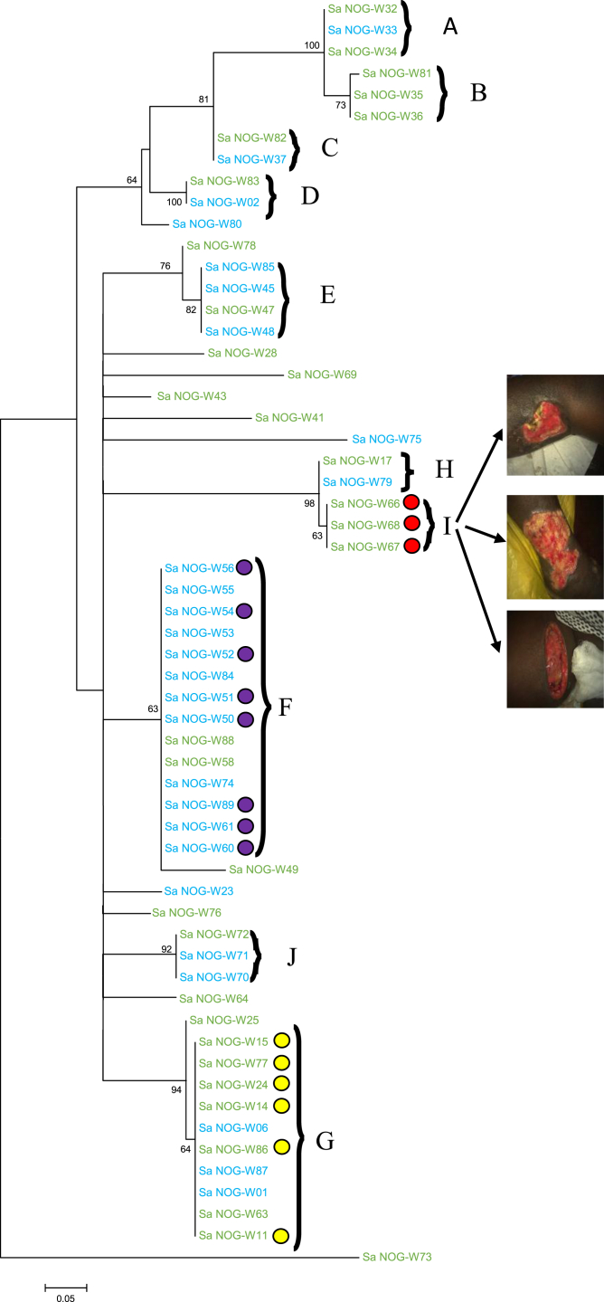 Fig. 1