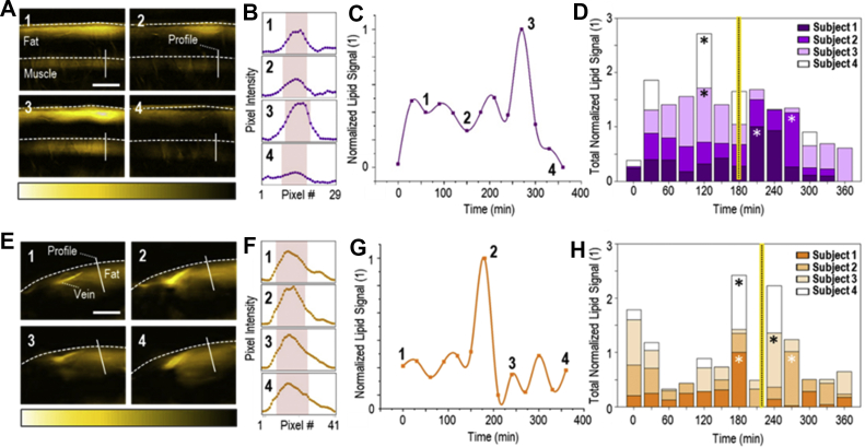 Figure 3