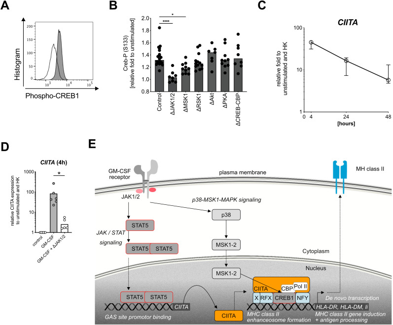 Figure 4