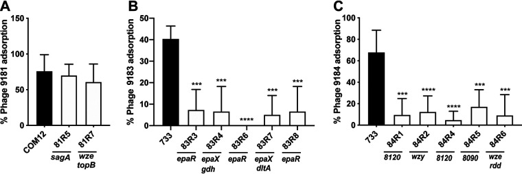 FIG 6