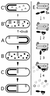 FIG. 12.