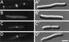 FIG. 11.