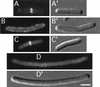FIG. 6.