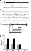 FIG. 1.