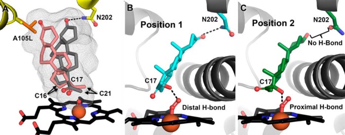 FIGURE 6.