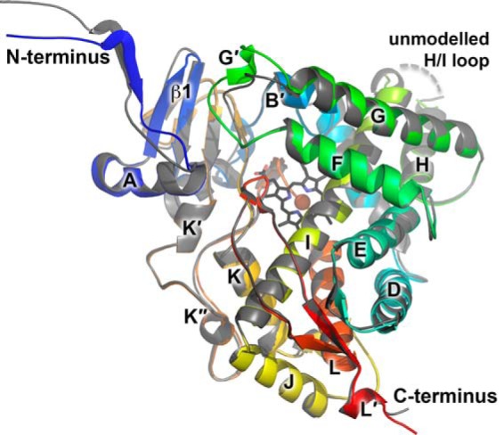 FIGURE 2.