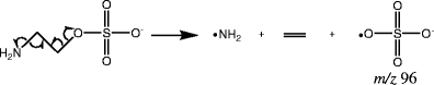 Scheme 6