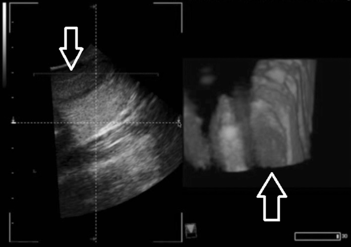 Fig. 5