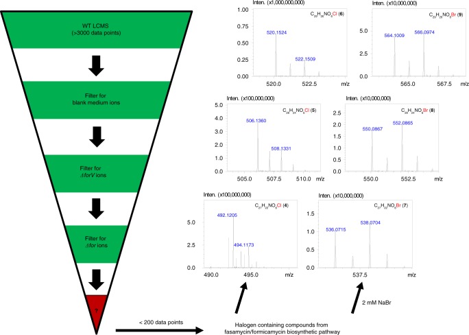 Fig. 2