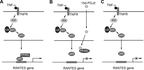 FIGURE 10.