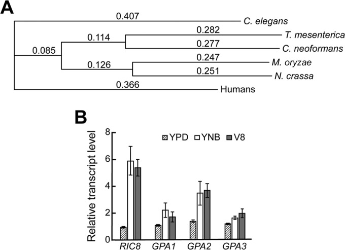 FIG 1