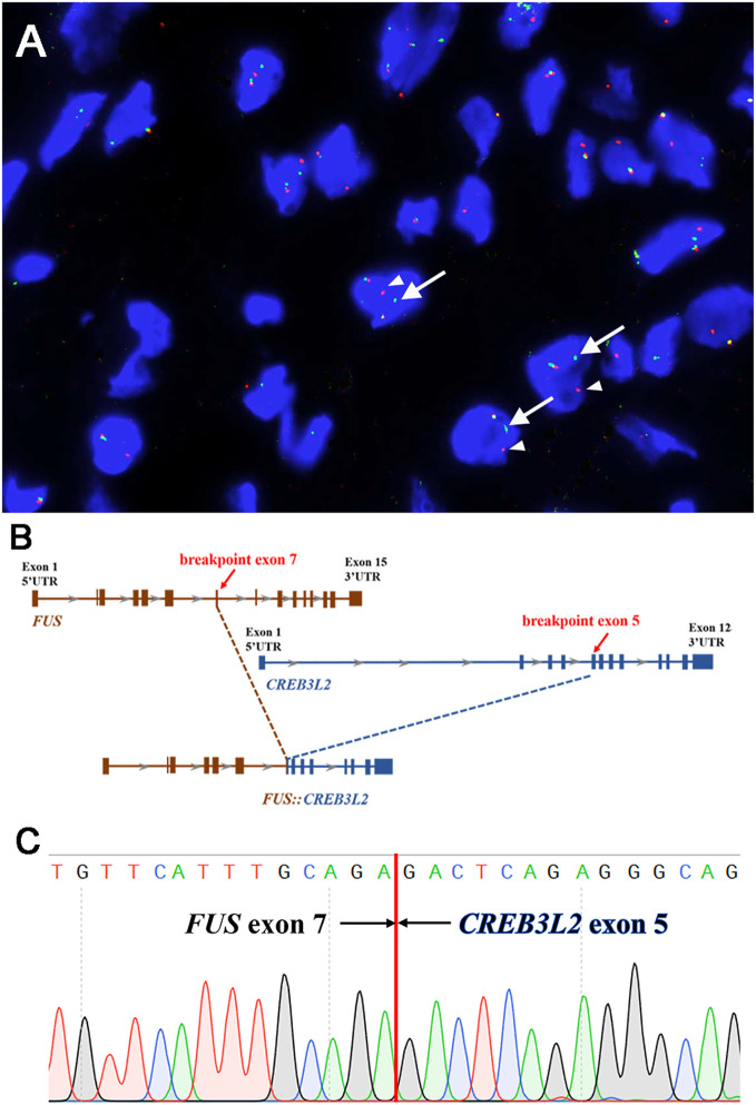 Figure 3