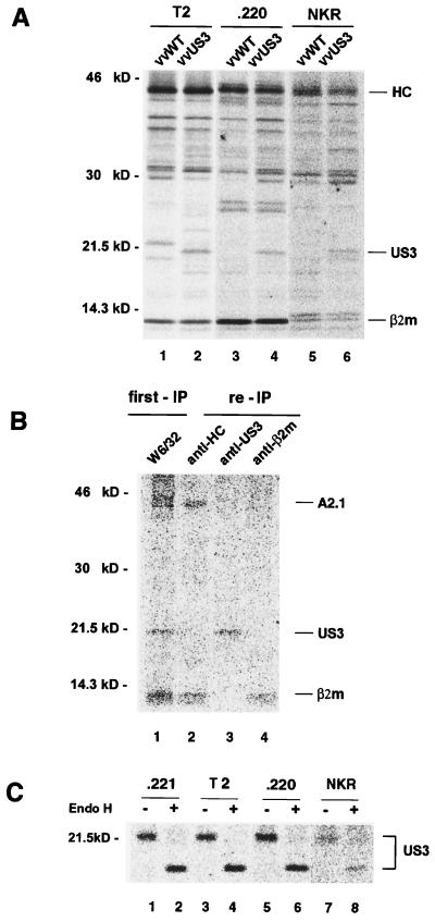 FIG. 7