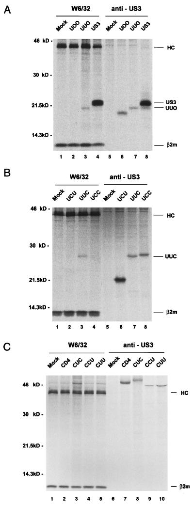 FIG. 5