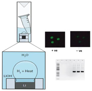 graphic file with name biosensors-14-00554-i011.jpg