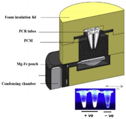 graphic file with name biosensors-14-00554-i006.jpg