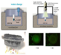 graphic file with name biosensors-14-00554-i015.jpg