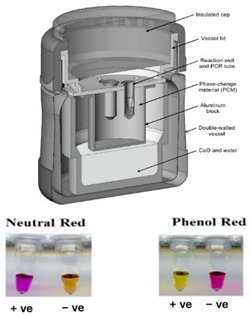 graphic file with name biosensors-14-00554-i008.jpg