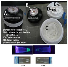 graphic file with name biosensors-14-00554-i004.jpg