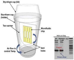 graphic file with name biosensors-14-00554-i009.jpg