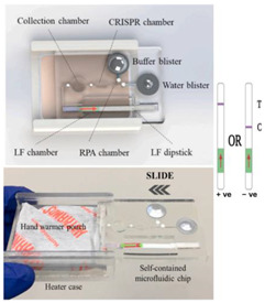 graphic file with name biosensors-14-00554-i010.jpg